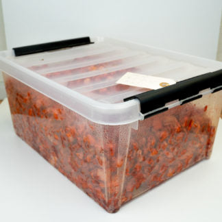 Kylling tandoori - 10 kg